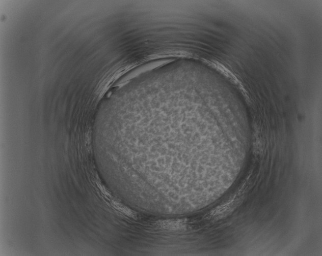 X0000062650937200601111148