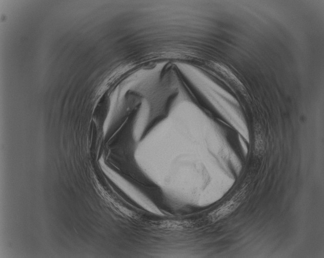 X0000062650938200601111148