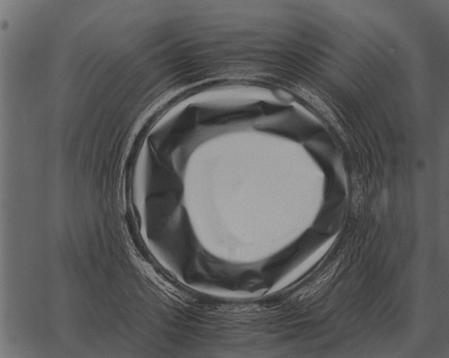 X0000062650939200601111148