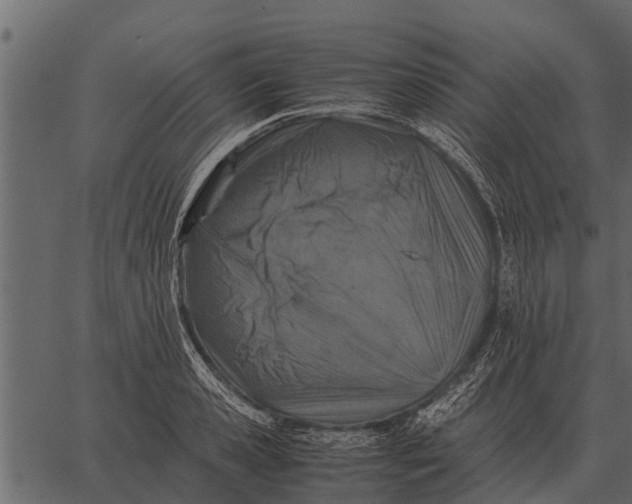 X0000062650941200601111148