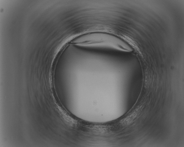 X0000062650942200601111148