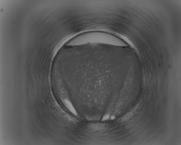 X0000062650943200601111148