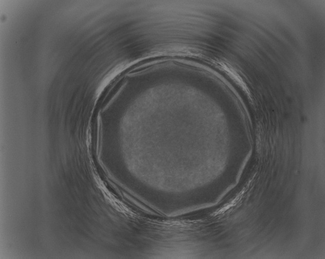 X0000062650944200601111148