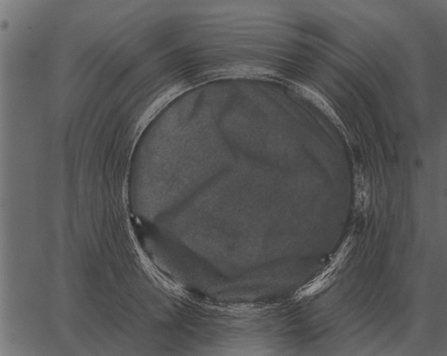 X0000062650946200601111148