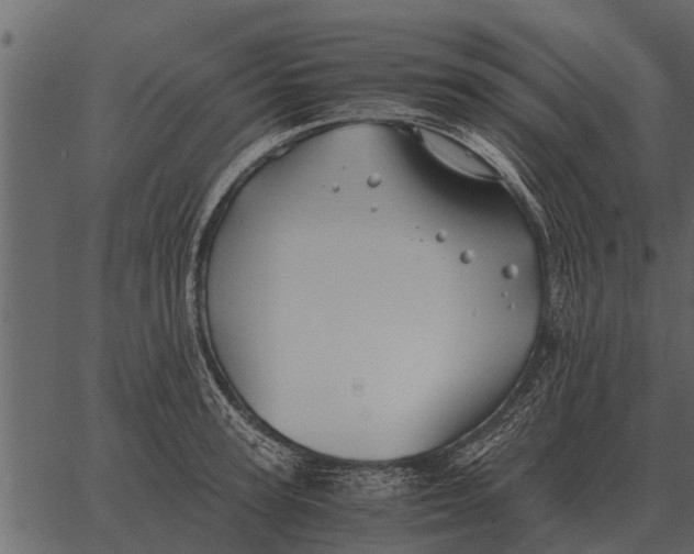 X0000062650947200601111148