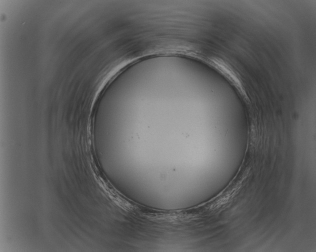 X0000062650948200601111148