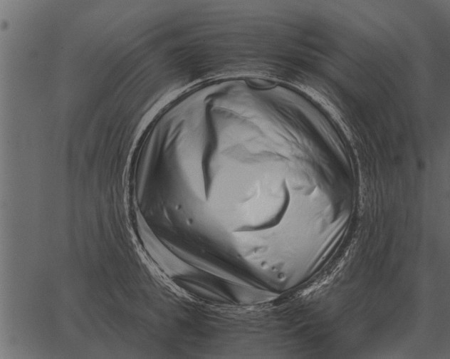 X0000062650949200601111148