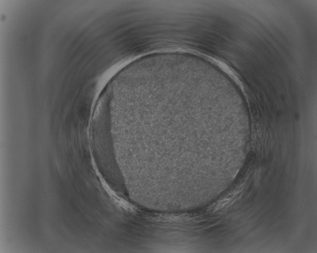 X0000062650951200601111148