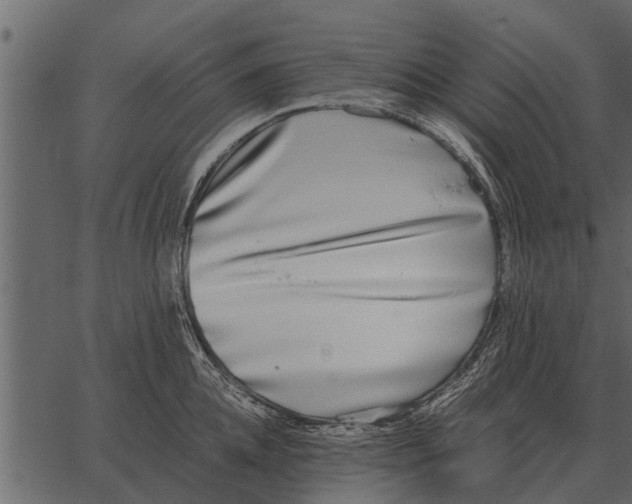 X0000062650952200601111148