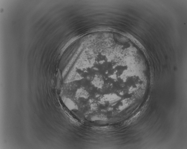 X0000062650953200601111148