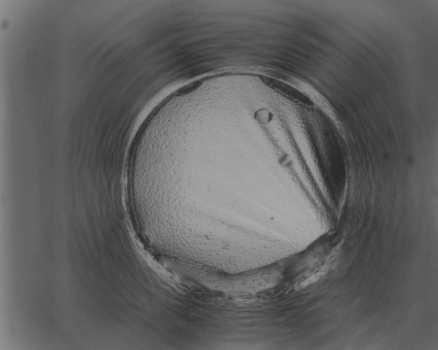 X0000062650955200601111148