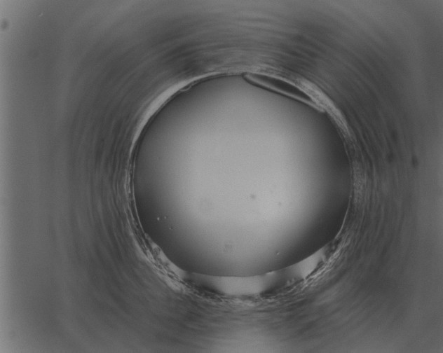 X0000062650956200601111148