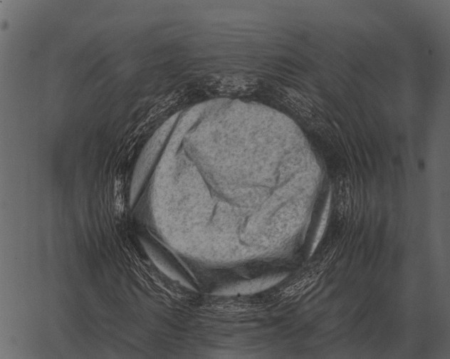 X0000062650962200601111147