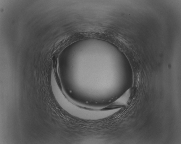 X0000062650965200601111147