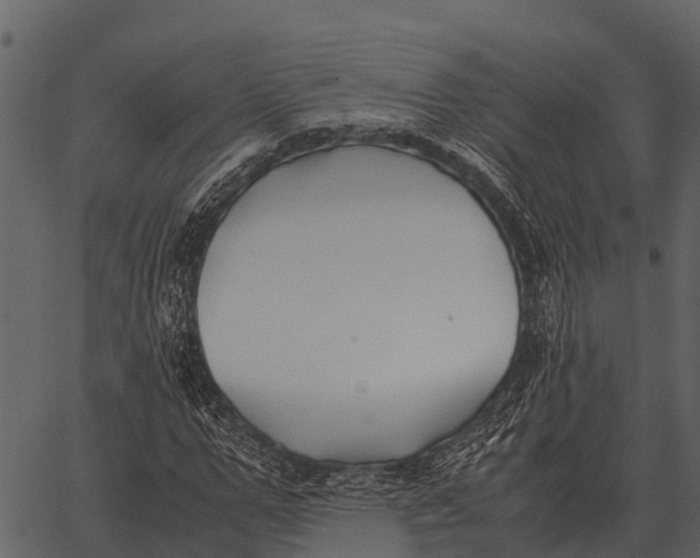 X0000062650967200601111147