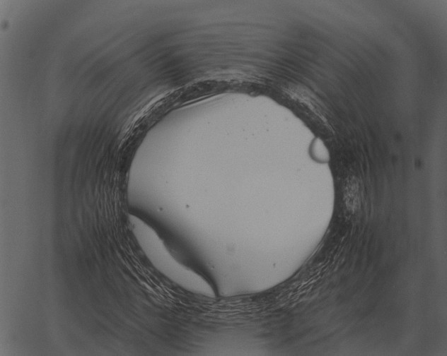 X0000062650968200601111147