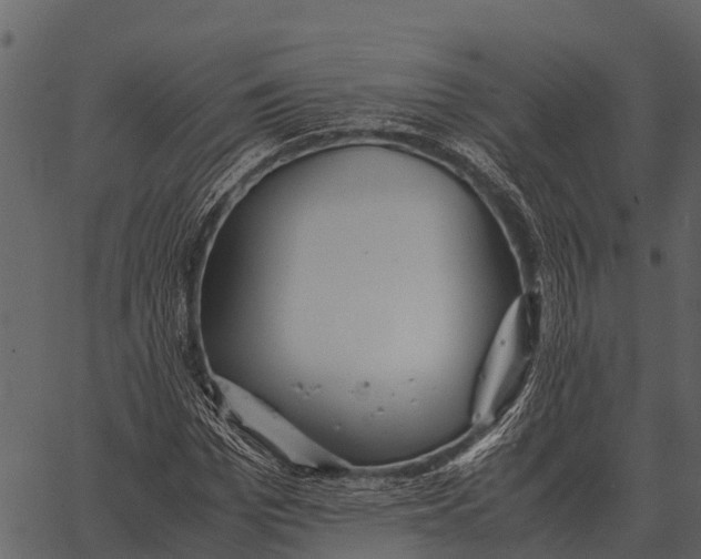 X0000062650969200601111147