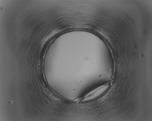 X0000062650971200601111147