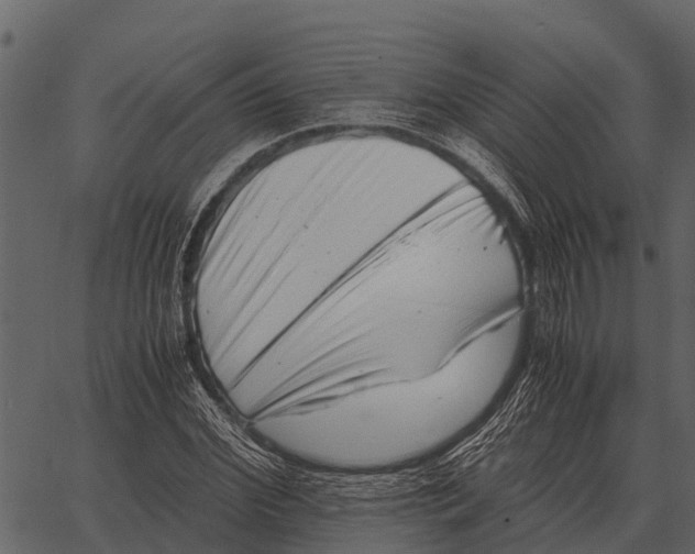 X0000062650972200601111147