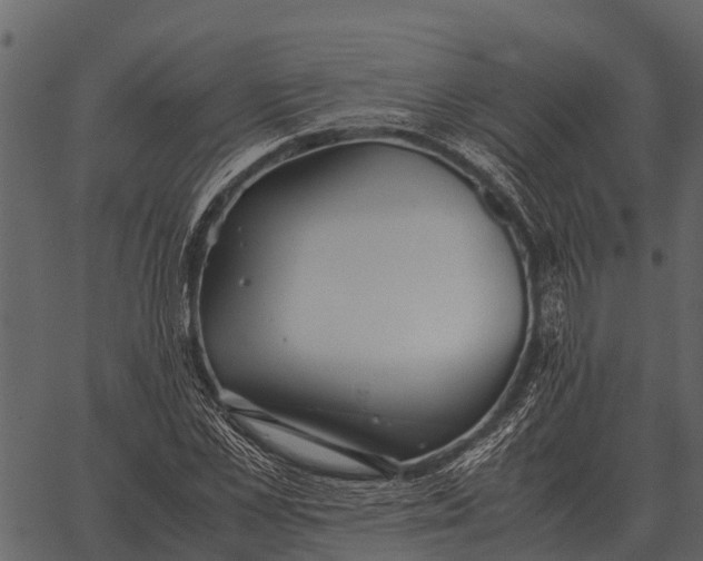 X0000062650973200601111147