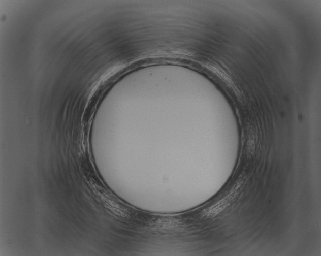 X0000062650974200601111147