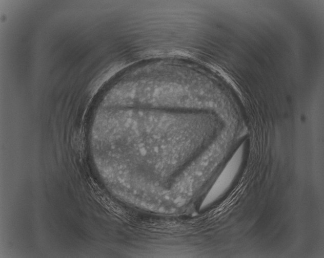 X0000062650975200601111147