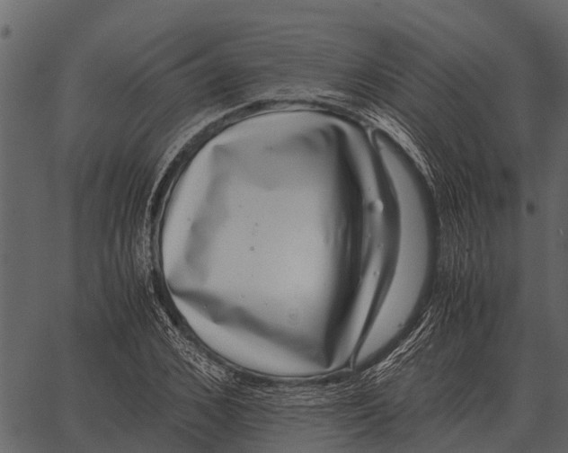 X0000062650976200601111147