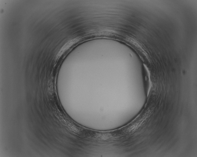 X0000062650978200601111147