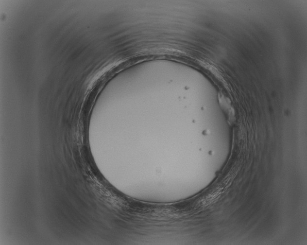 X0000062650979200601111147