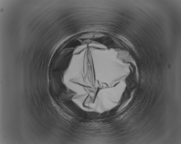 X0000062650980200601111147