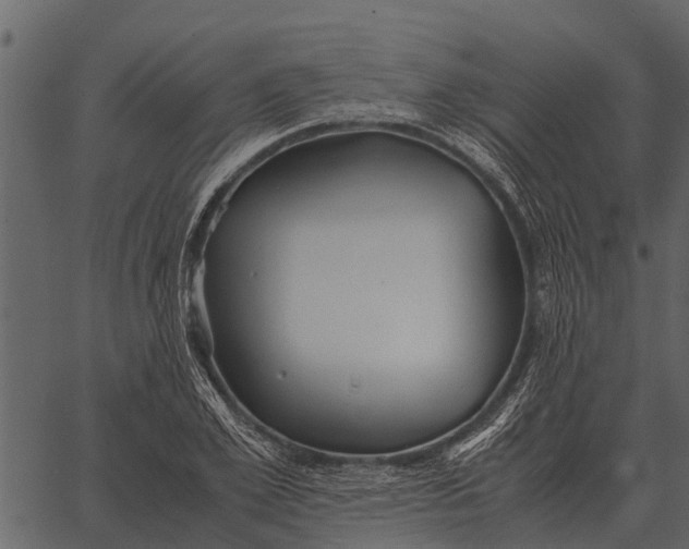 X0000062650981200601111147