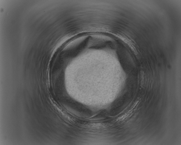 X0000062650982200601111147