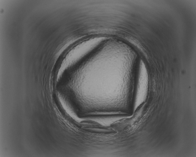 X0000062650983200601111147