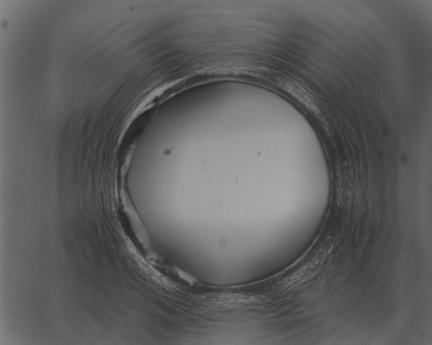 X0000062650984200601111147