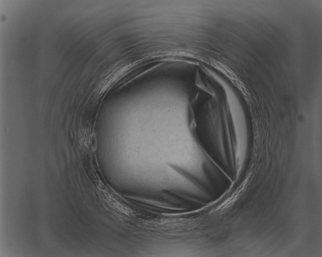 X0000062650985200601111147