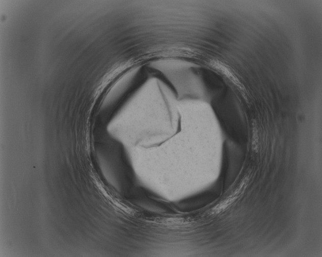 X0000062650986200601111147