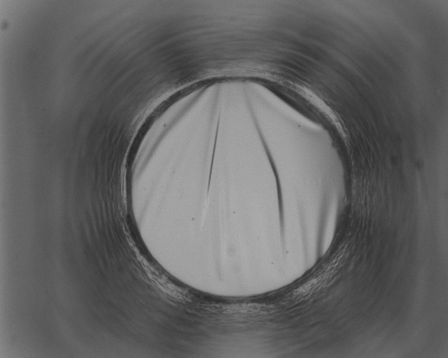 X0000062650988200601111147