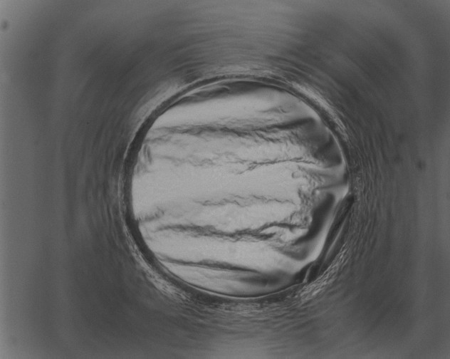 X0000062650991200601111147