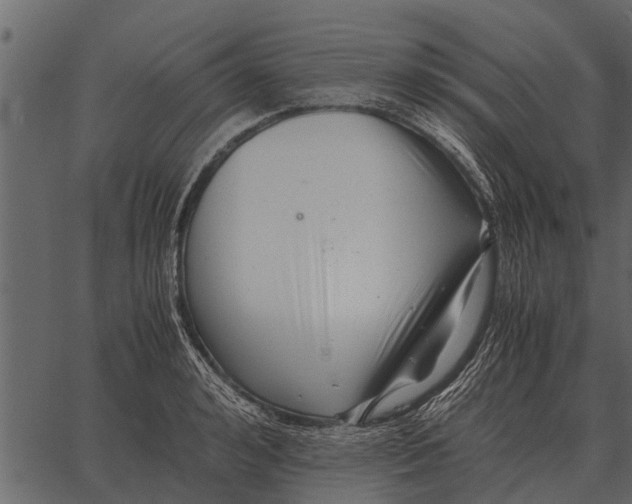 X0000062650992200601111147