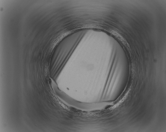 X0000062650993200601111147