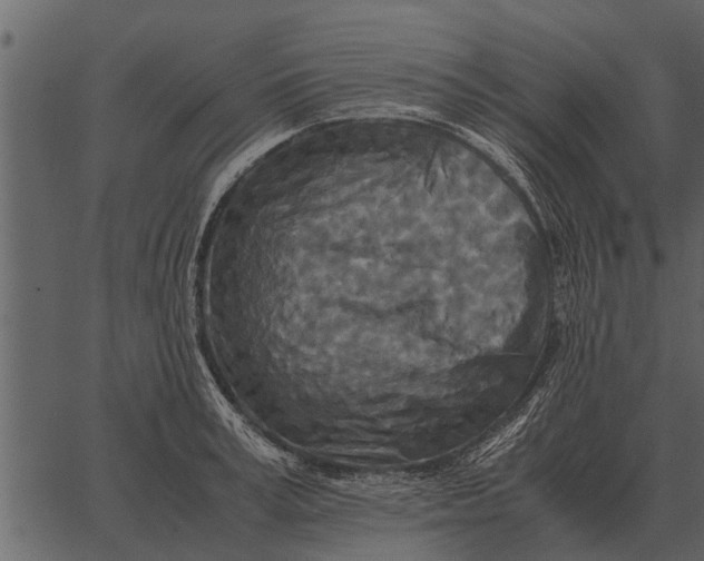 X0000062650995200601111147