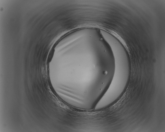 X0000062650996200601111147