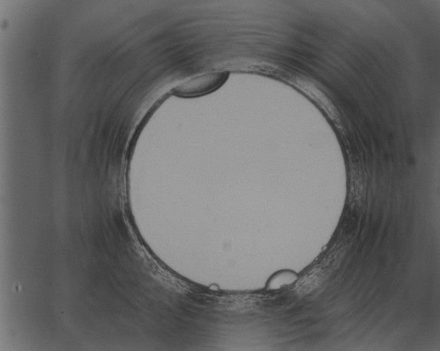 X0000062651000200601111147