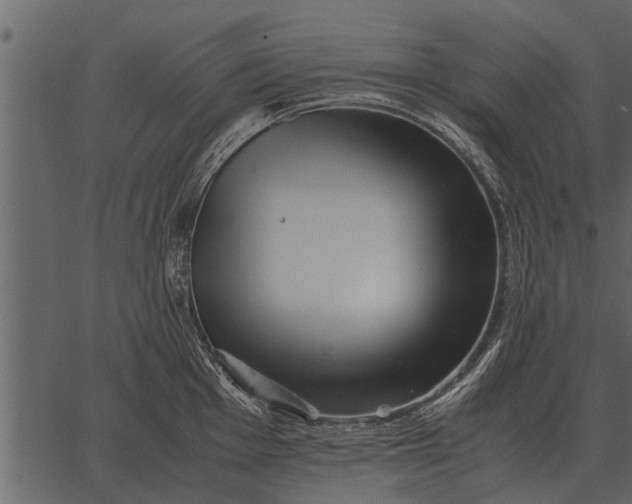 X0000062651001200601111147