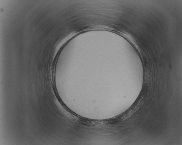 X0000062651003200601111147