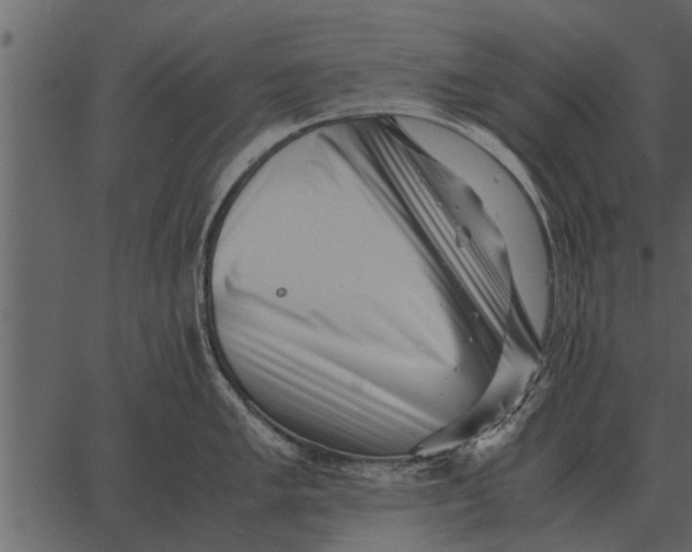 X0000062651005200601111147