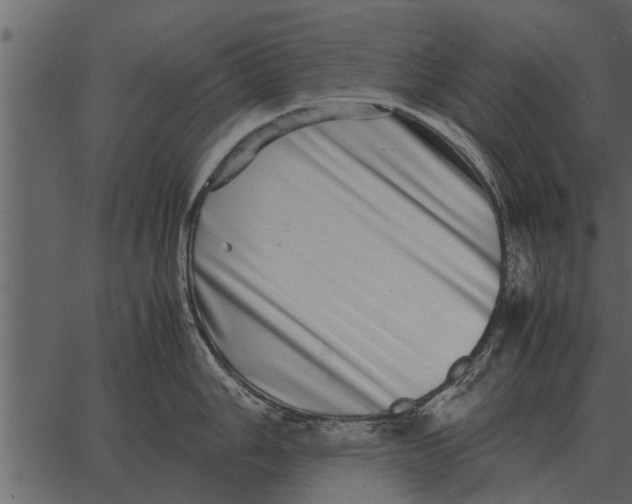 X0000062651006200601111147