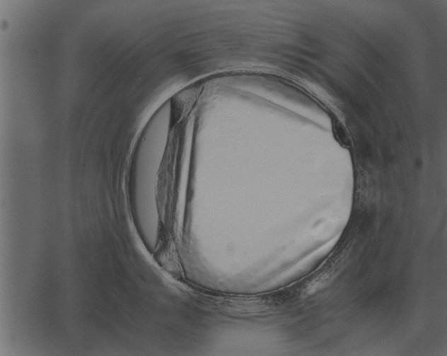 X0000062651007200601111147