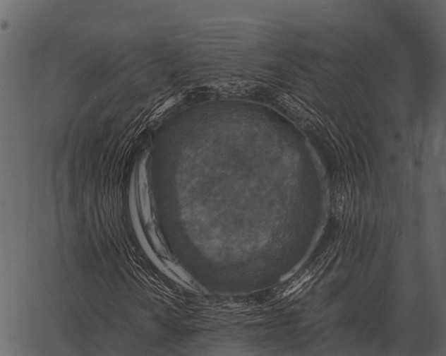 X0000062651010200601111146