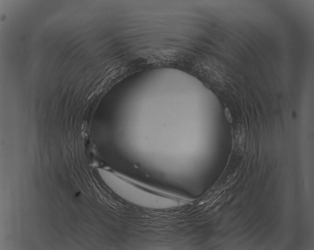 X0000062651012200601111146